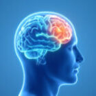 Neuromarketing în retail – cum influențează creierul decizia de cumpărare