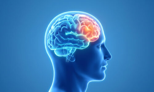 Neuromarketing în retail – cum influențează creierul decizia de cumpărare
